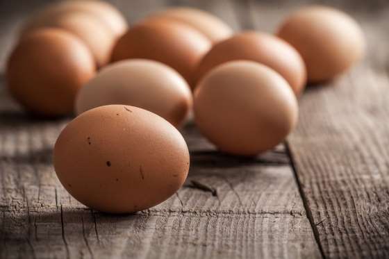 La importancia de la temperatura de los huevos