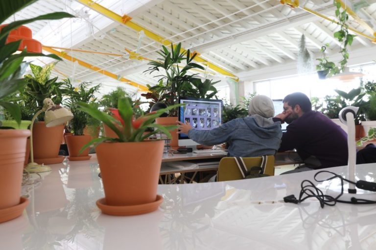 Esta oficina cuenta con 1000 plantas para un ambiente de trabajo diferente