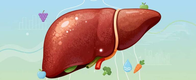 Síntomas tempranos del hígado graso: cómo detectarlo a tiempo y qué hacer